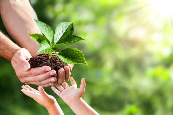 adult hands handing soil with sprout to a child's hands depicting benefits of Bioheat® fuel