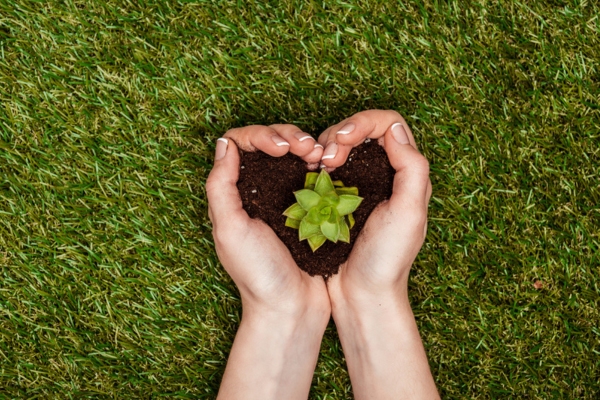 hand holding heart shaped soil with sprout depicting propane and environment