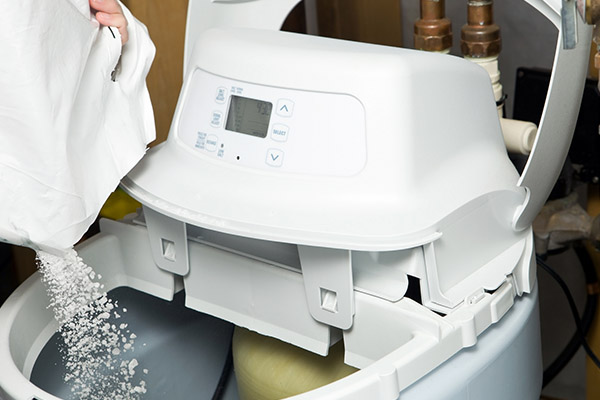 Salt in water softener