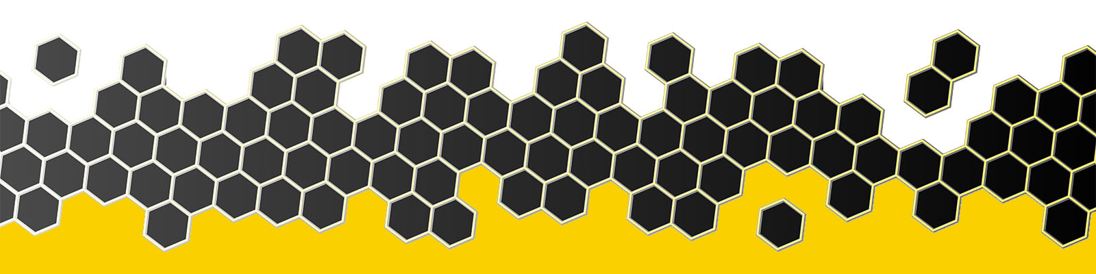 White to Yellow Row White to Yellow Row