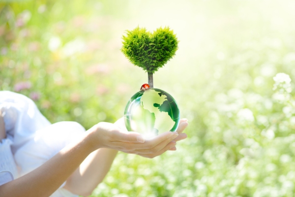 heart shaped tree on top of a glass earth ball depicting environmentally friendly propane