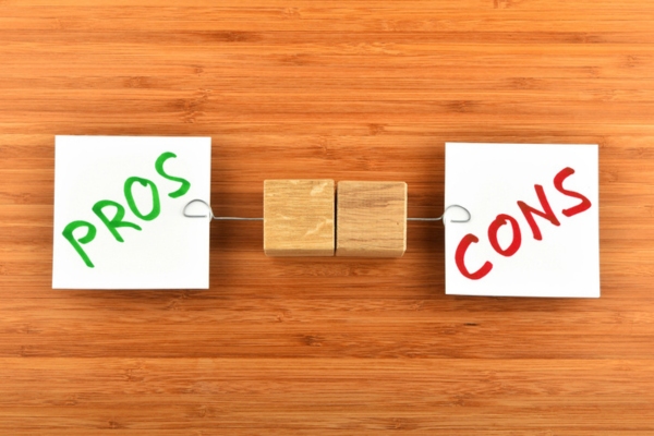 pros and cons written on paper depicting DIY Landscaping